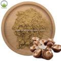 Shiitake Mushroom Powder Extract in bulk